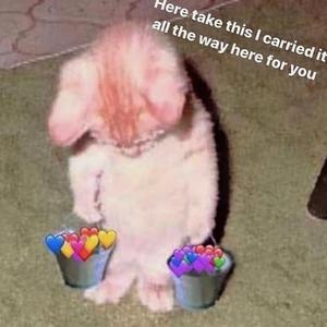 人妖TsCD后庭调教
